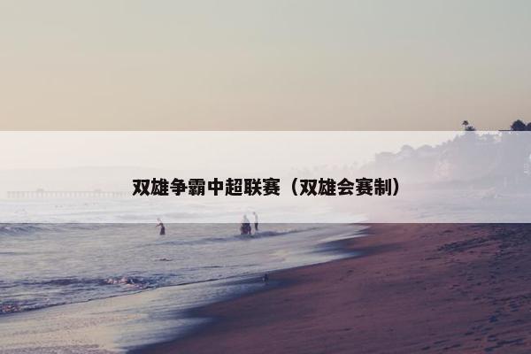 双雄争霸中超联赛（双雄会赛制）