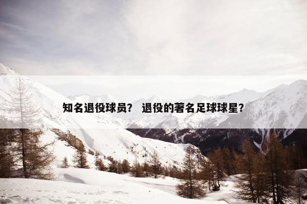 知名退役球员？ 退役的著名足球球星？