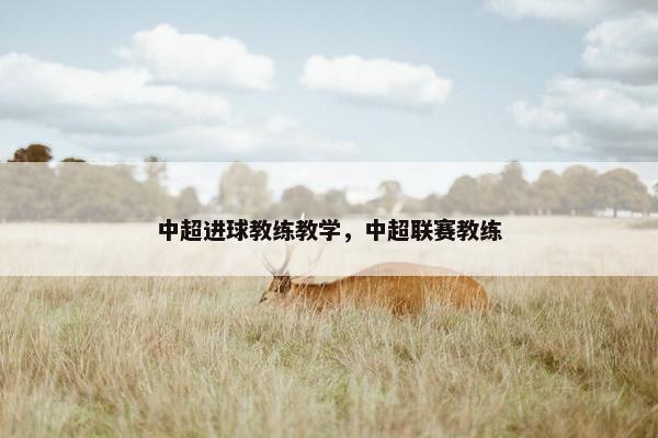 中超进球教练教学，中超联赛教练