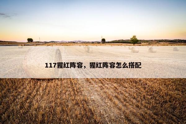 117猩红阵容，猩红阵容怎么搭配