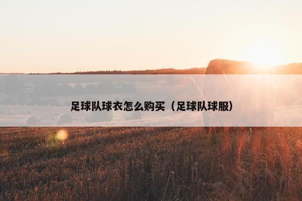 足球队球衣怎么购买（足球队球服）