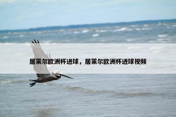 居莱尔欧洲杯进球，居莱尔欧洲杯进球视频