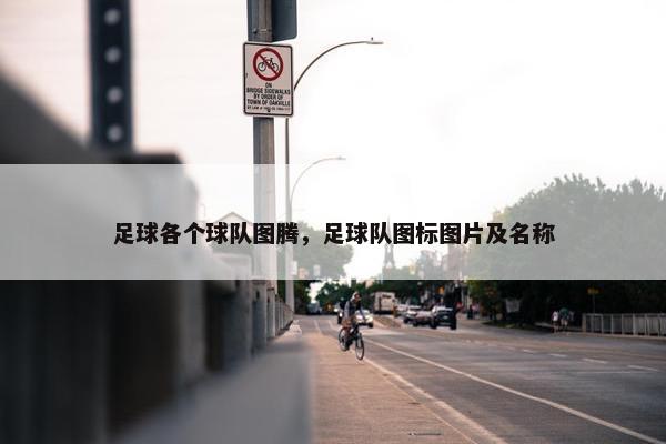 足球各个球队图腾，足球队图标图片及名称