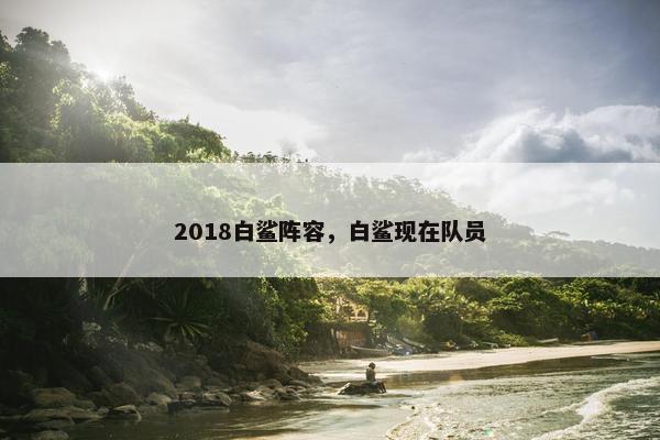 2018白鲨阵容，白鲨现在队员
