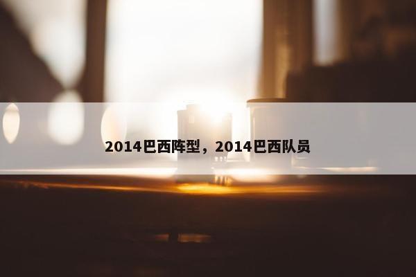 2014巴西阵型，2014巴西队员