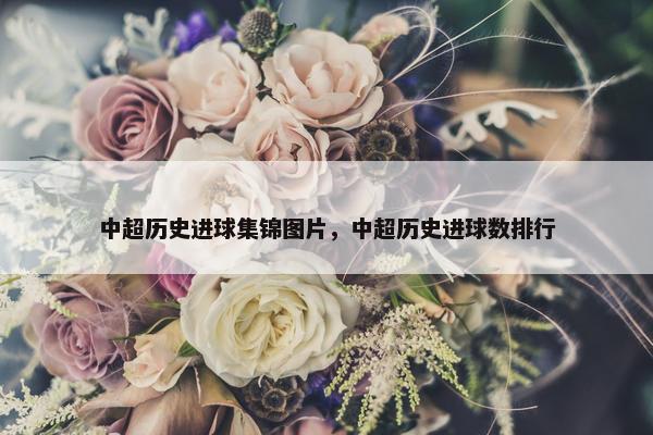 中超历史进球集锦图片，中超历史进球数排行
