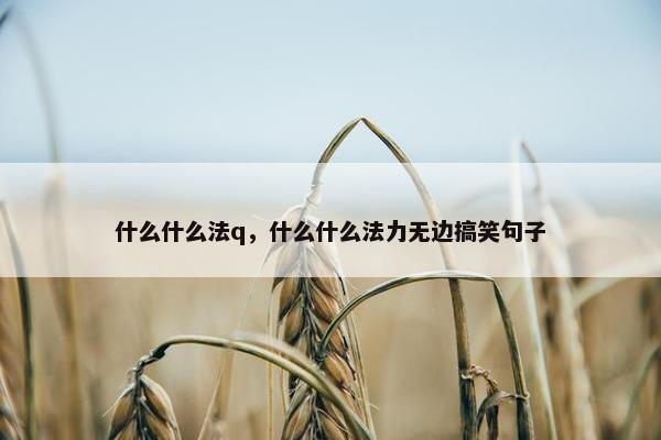 什么什么法q，什么什么法力无边搞笑句子