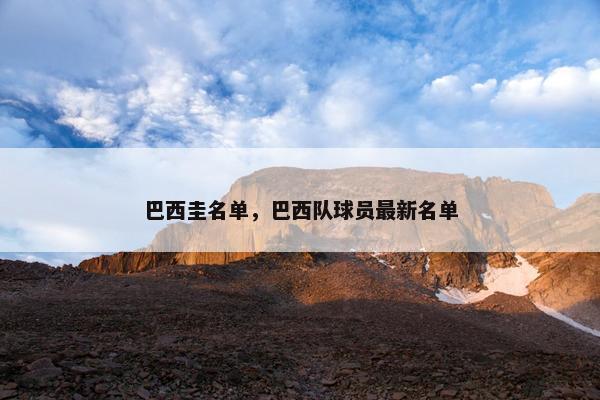 巴西圭名单，巴西队球员最新名单