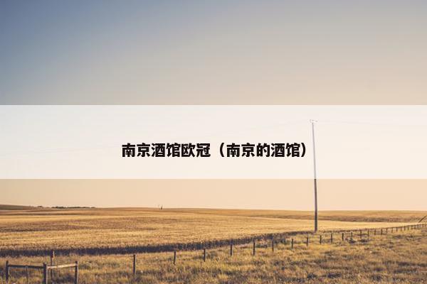 南京酒馆欧冠（南京的酒馆）