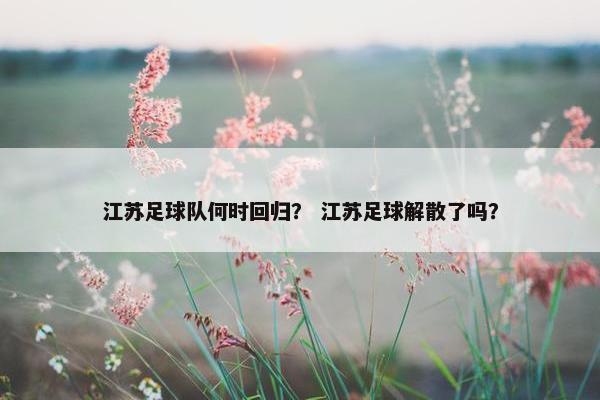 江苏足球队何时回归？ 江苏足球解散了吗？