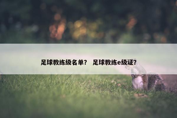 足球教练级名单？ 足球教练e级证？