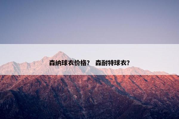 森纳球衣价格？ 森耐特球衣？
