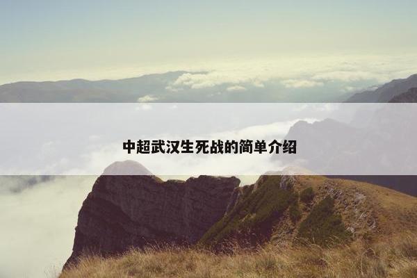 中超武汉生死战的简单介绍