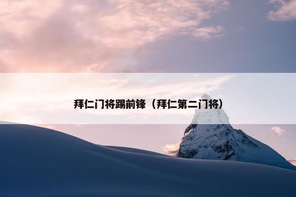 拜仁门将踢前锋（拜仁第二门将）