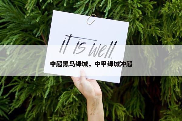 中超黑马绿城，中甲绿城冲超