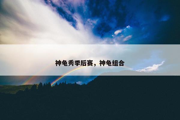 神龟秀季后赛，神龟组合