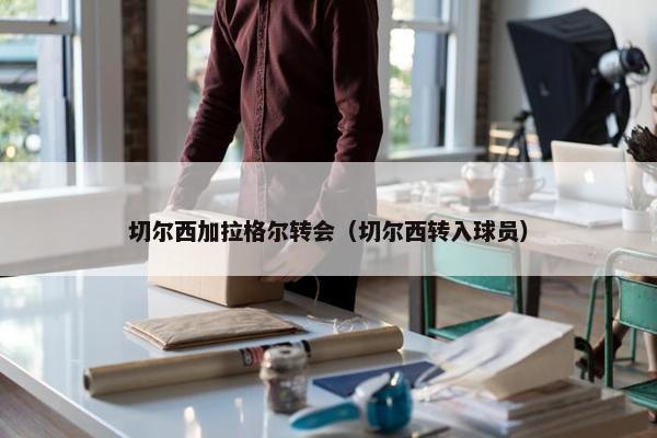 切尔西加拉格尔转会（切尔西转入球员）