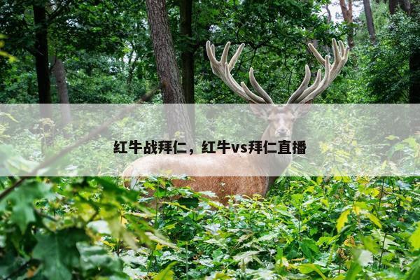 红牛战拜仁，红牛vs拜仁直播