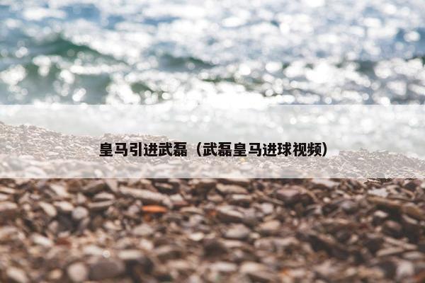 皇马引进武磊（武磊皇马进球视频）