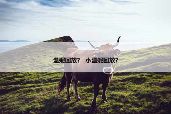 温妮回放？ 小温妮回放？