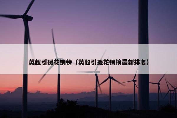 英超引援花销榜（英超引援花销榜最新排名）