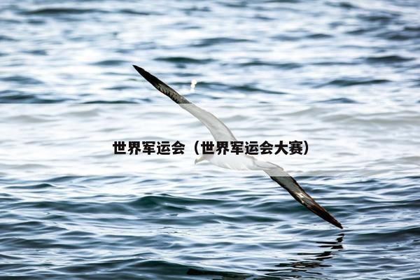 世界军运会（世界军运会大赛）