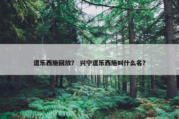 逗乐西施回放？ 兴宁逗乐西施叫什么名？