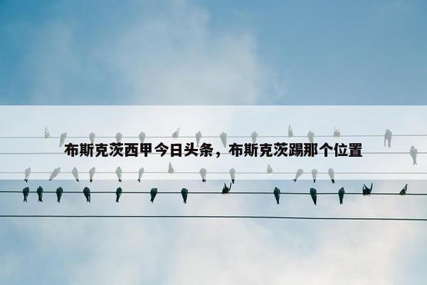 布斯克茨西甲今日头条，布斯克茨踢那个位置