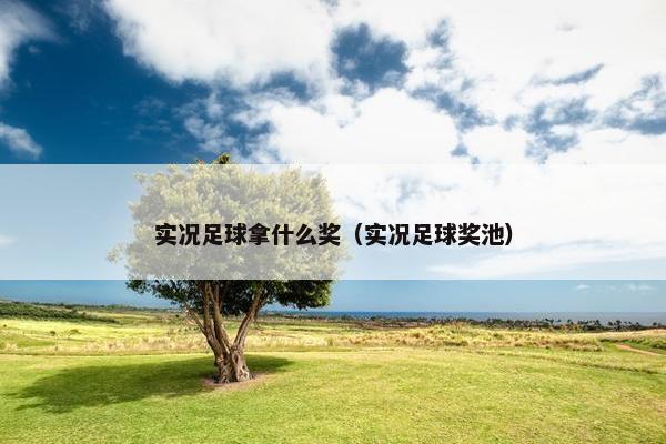 实况足球拿什么奖（实况足球奖池）