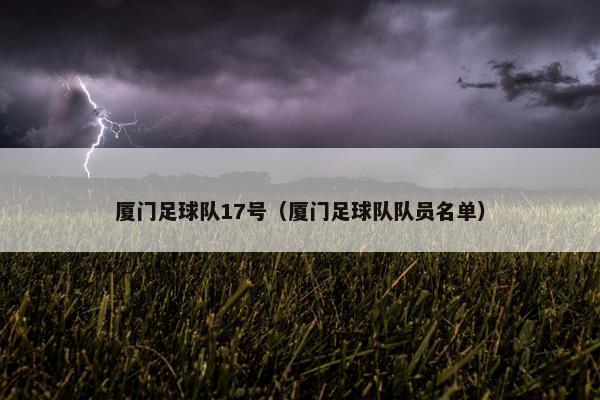 厦门足球队17号（厦门足球队队员名单）