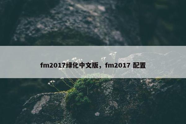 fm2017绿化中文版，fm2017 配置
