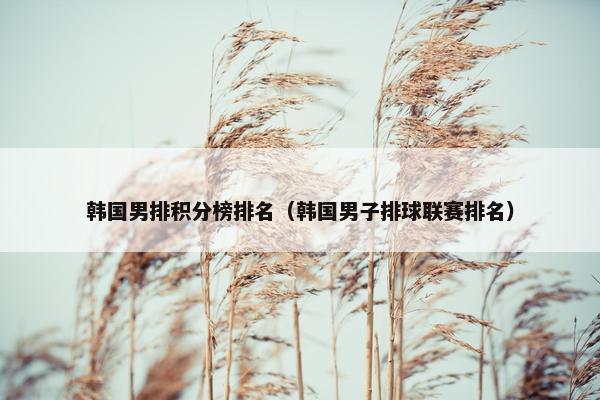 韩国男排积分榜排名（韩国男子排球联赛排名）