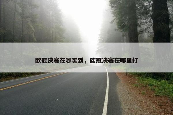 欧冠决赛在哪买到，欧冠决赛在哪里打