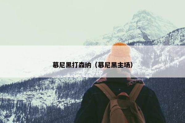 慕尼黑打森纳（慕尼黑主场）