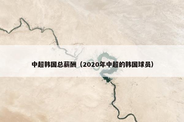 中超韩国总薪酬（2020年中超的韩国球员）