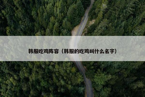 韩服吃鸡阵容（韩服的吃鸡叫什么名字）