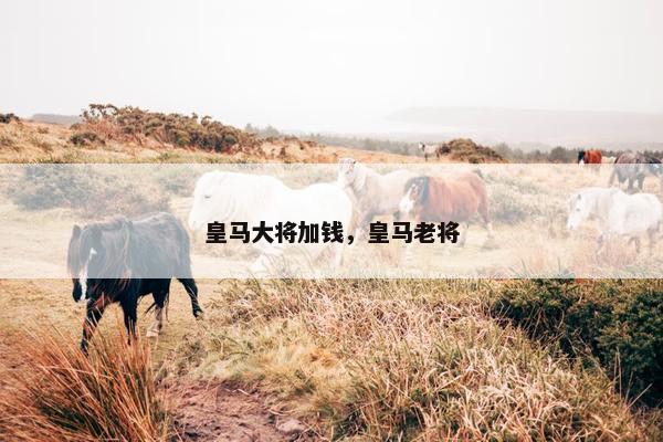 皇马大将加钱，皇马老将