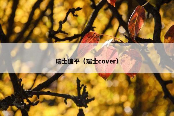 瑞士追平（瑞士cover）