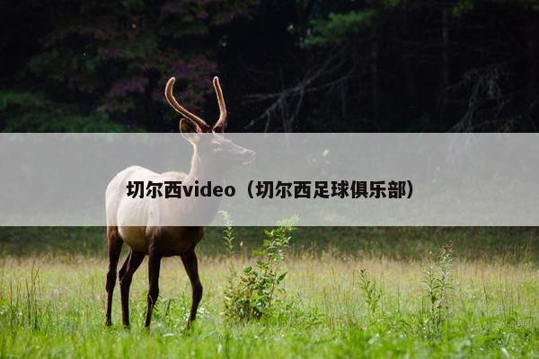 切尔西video（切尔西足球俱乐部）