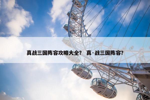 真战三国阵容攻略大全？ 真·战三国阵容？