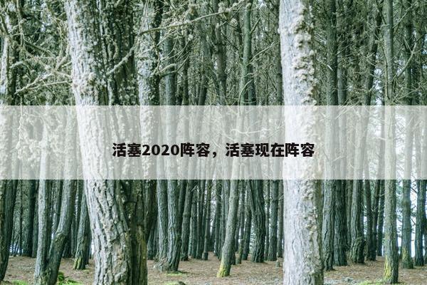 活塞2020阵容，活塞现在阵容
