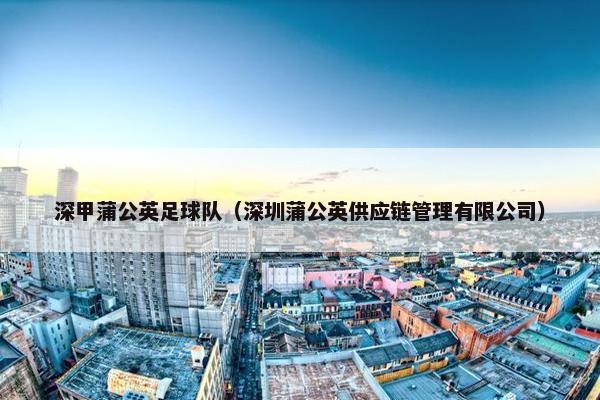 深甲蒲公英足球队（深圳蒲公英供应链管理有限公司）