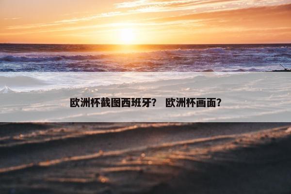 欧洲杯截图西班牙？ 欧洲杯画面？
