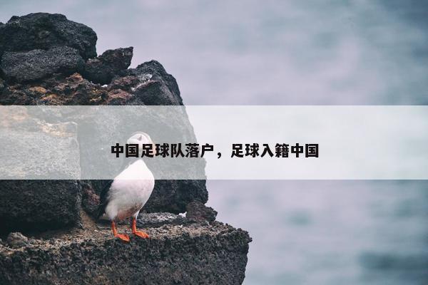中国足球队落户，足球入籍中国