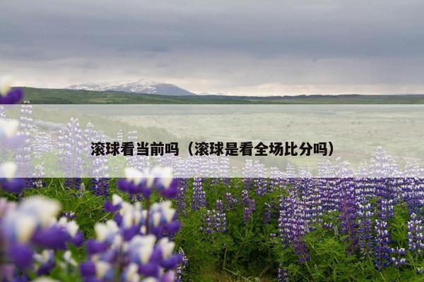 滚球看当前吗（滚球是看全场比分吗）