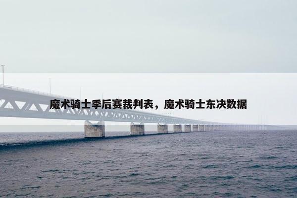 魔术骑士季后赛裁判表，魔术骑士东决数据
