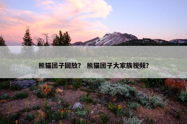熊猫团子回放？ 熊猫团子大家族视频？