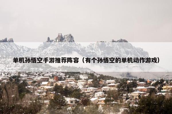 单机孙悟空手游推荐阵容（有个孙悟空的单机动作游戏）