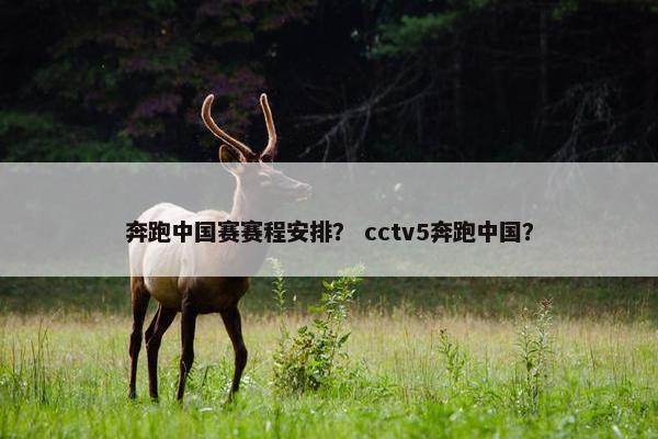 奔跑中国赛赛程安排？ cctv5奔跑中国？