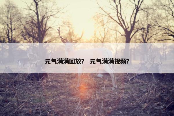 元气满满回放？ 元气满满视频？